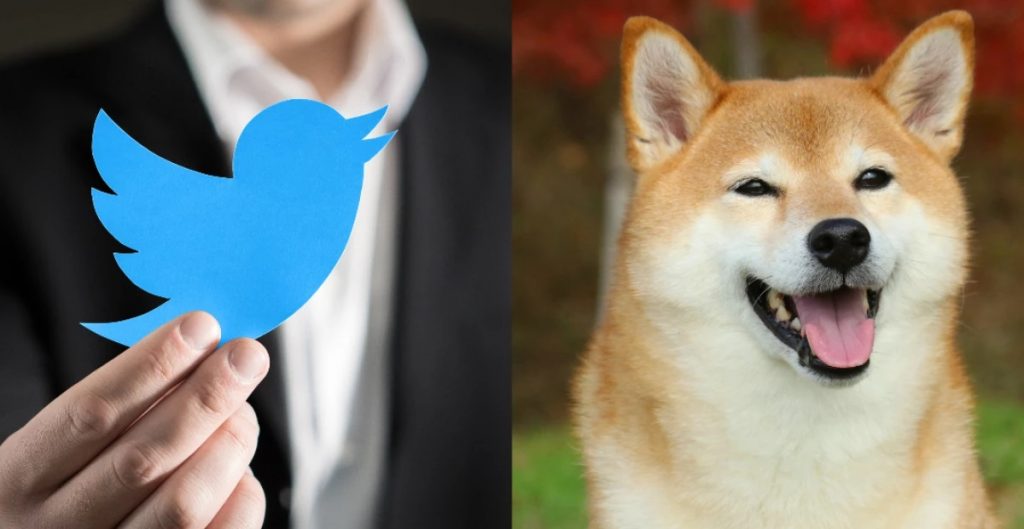 Elon Musk muda Logotipo do Twitter em referencia a criptomoeda Dogecoin